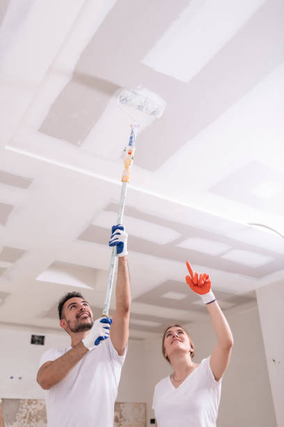 Best Commercial Mold Inspection  in Port Richey, FL