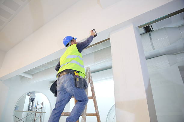 Biohazard Mold Removal in Port Richey, FL