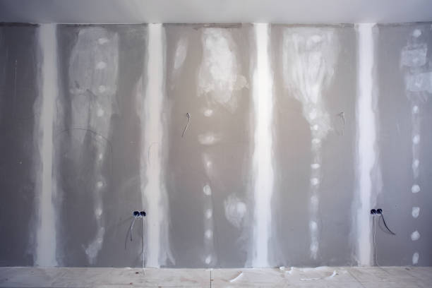 Best Residential Mold Inspection & Testing  in Port Richey, FL